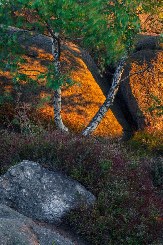 My Portfoliophoto preview