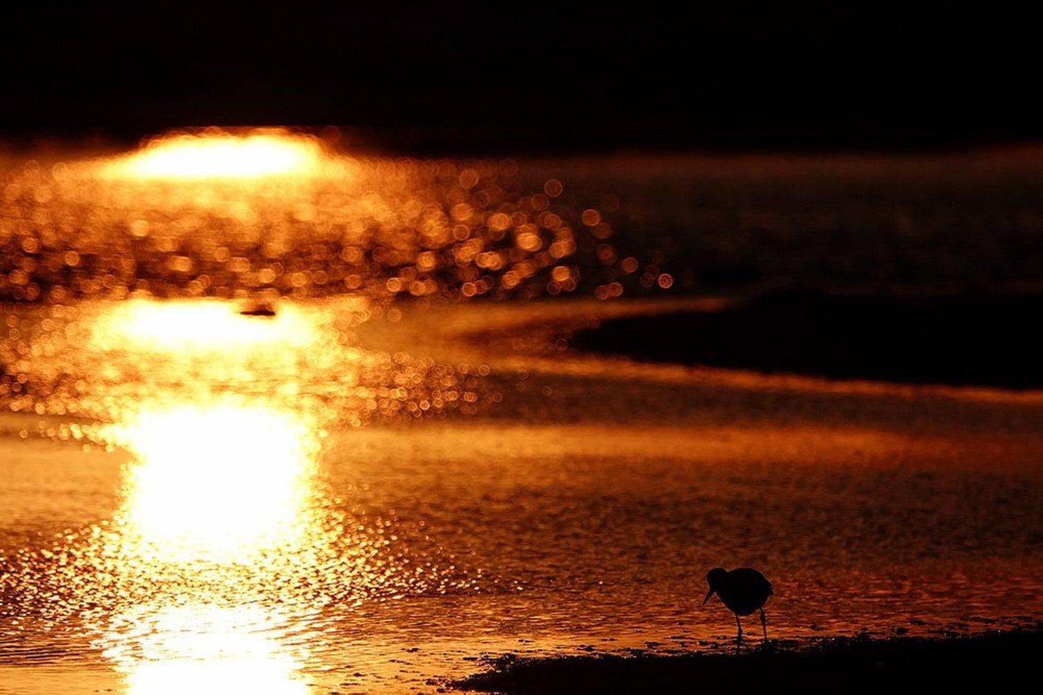 Апокалипсис. Автор: Иваненко Светлана , Иваненко Светлана