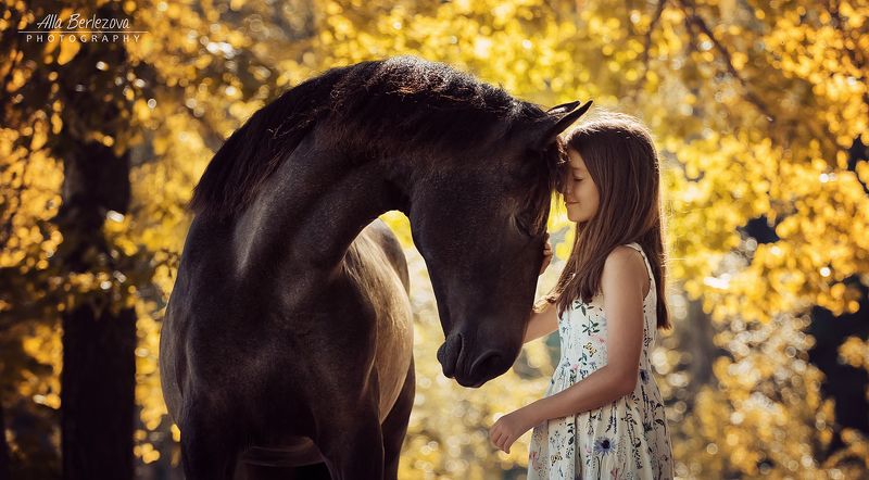 лошадь, horse, девочка, girl осеньphoto preview