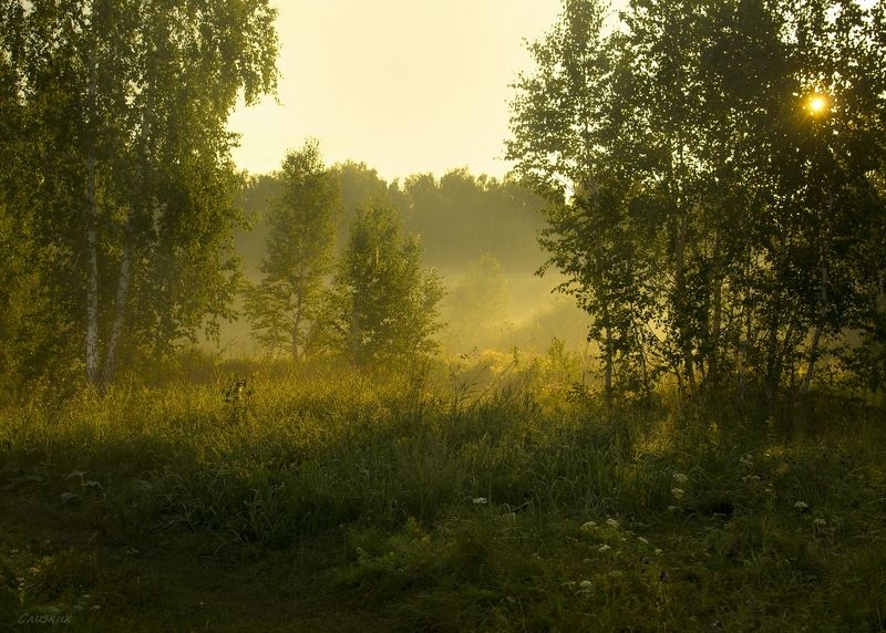 пейзаж,туман,утро,краски,август У опушкиphoto preview
