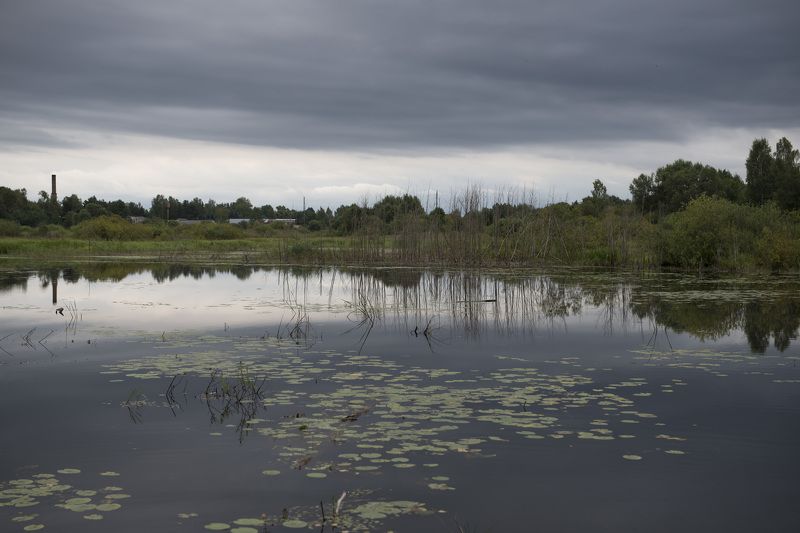 псковская область ***photo preview