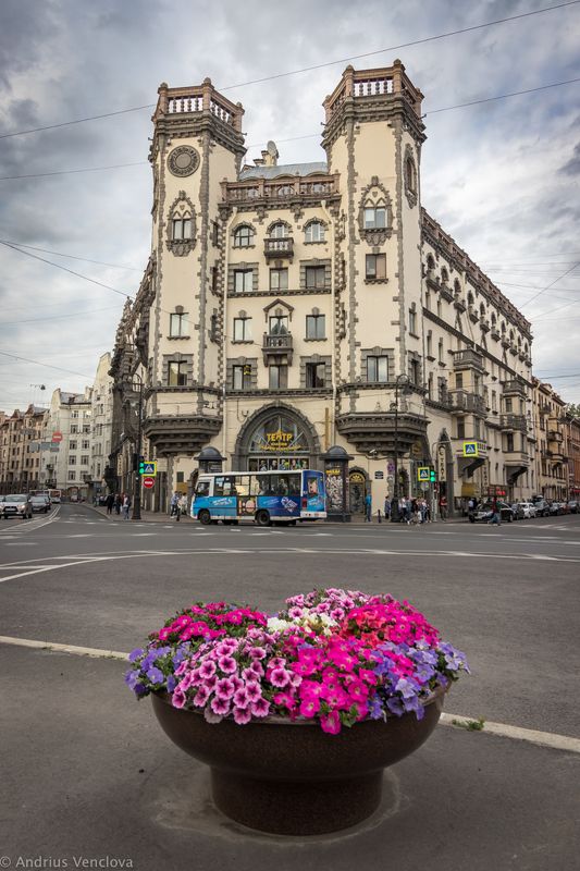 House with towersphoto preview