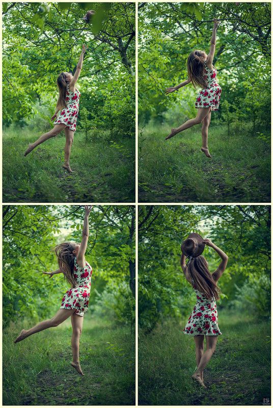 Butterflyphoto preview