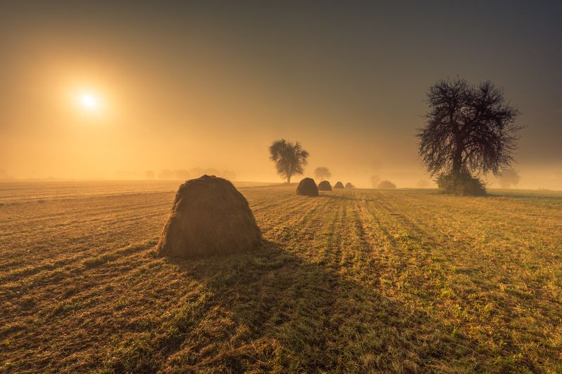 sianokosy...photo preview