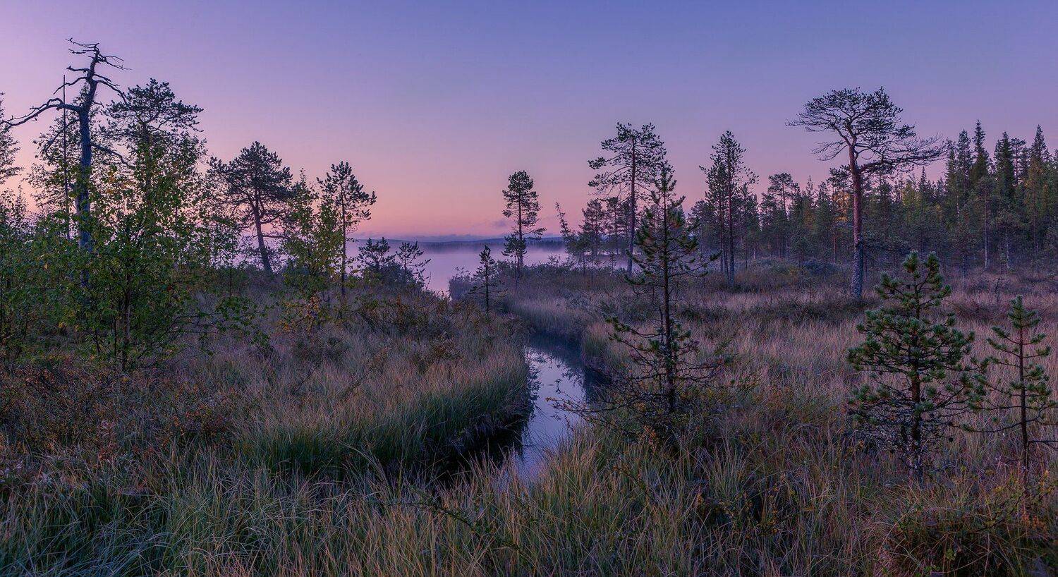 сиреневый туман. Автор: Evalds Kivlenieks , Evalds Kivlenieks