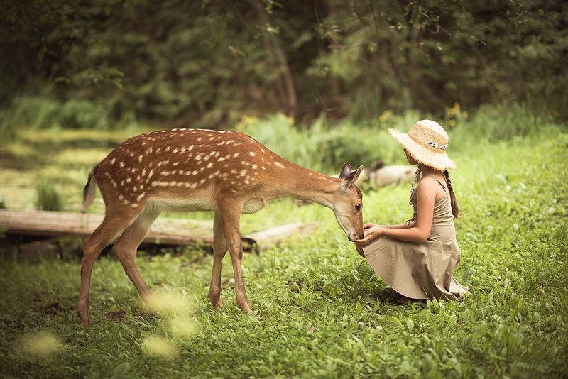 друзьяphoto preview