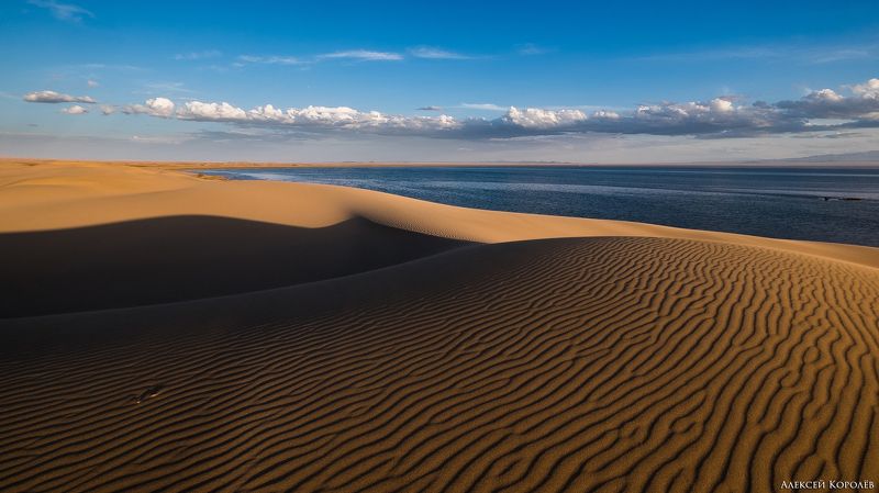 монголия, закат, пустыня, песок, озеро, природа, пейзаж, лето, mongolia, sunset, desert, sand, lake, nature, landscape, summer Золото Монголии 1photo preview