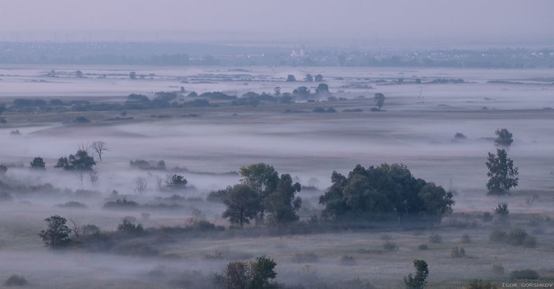 утро,туман,нижняя кама,сумерки,река,природа,деревья,лето,елабуга,татарстан Туманная планетаphoto preview