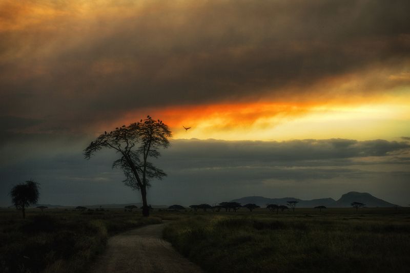 Отель на дорогеphoto preview