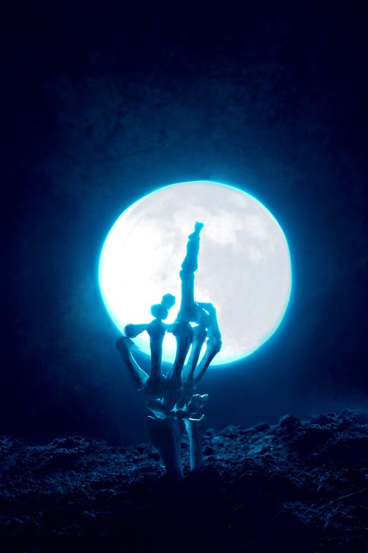 скелет,  луна,  ночь,  земля, рука I\'ll be backphoto preview