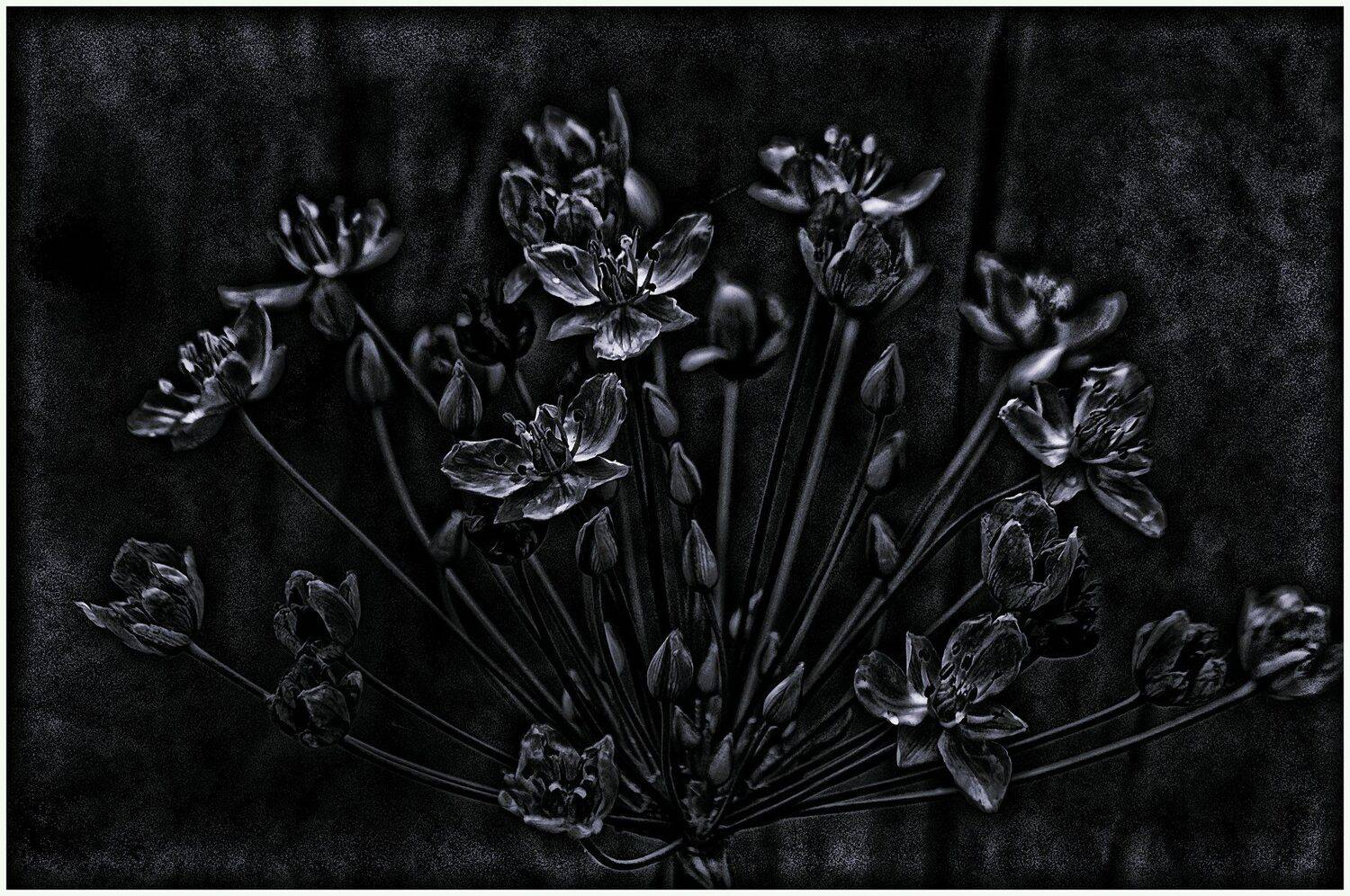 ***. Автор: Viktor , Viktor