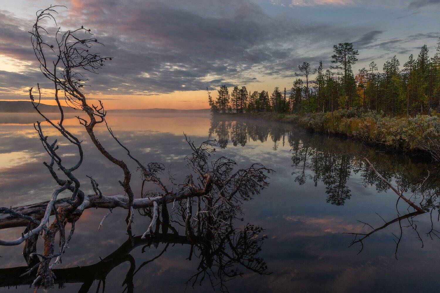 ранним осенним утром. Автор: Evalds Kivlenieks ###, Evalds Kivlenieks