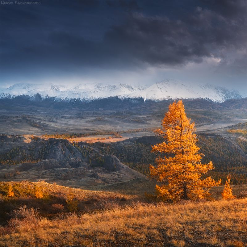 Алтай, Курай, Чуя, горы, осень Алтай. Осень в курайской степи.photo preview