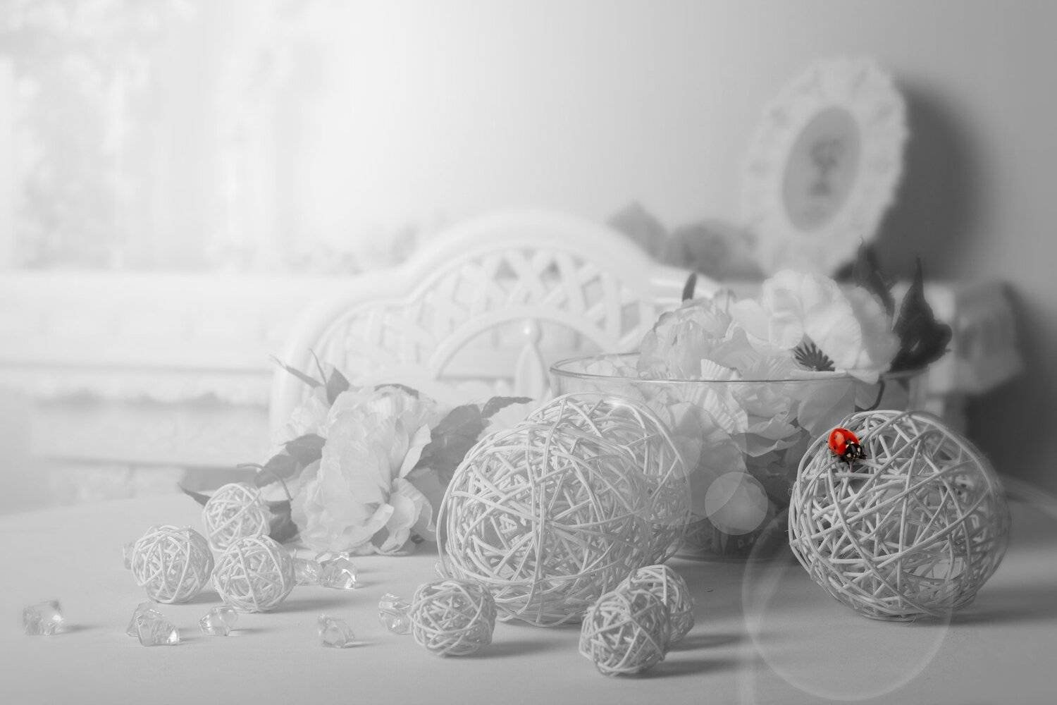 *******. Автор: Sergii Vidov божья коровка, ч/б, стол, день, Sergii Vidov