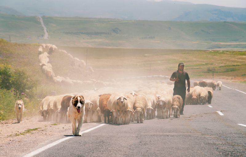 Армения, пейзаж, СНГ Армения: траффикphoto preview