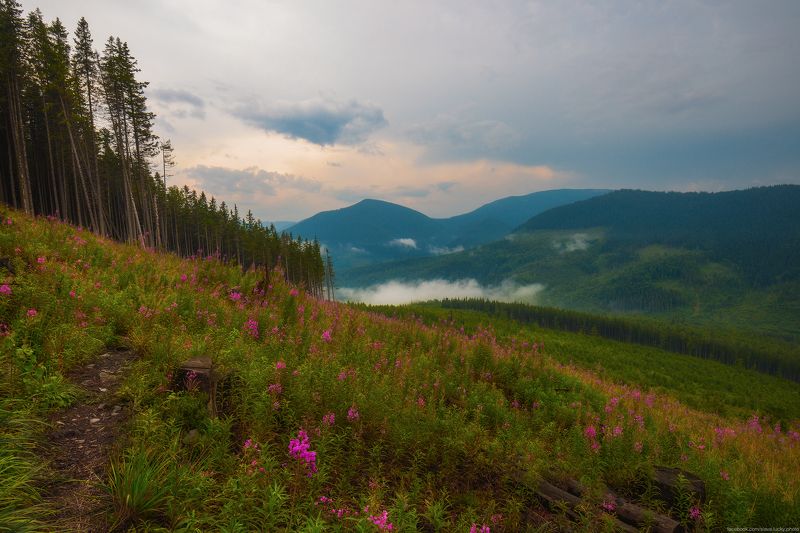 После грозыphoto preview