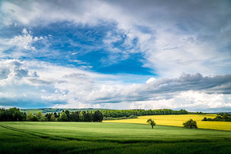 #germany #nature #landscape #travel Rudesheim am Rheinphoto preview