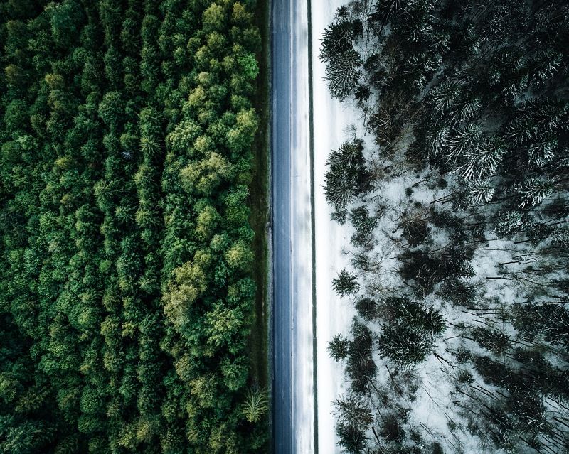 winter is comingphoto preview