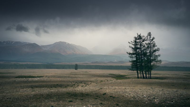 природа, пейзаж, путешествия, степь, горы, хребет, алтай, северо-чуйский, непогода, хмурая, красивая, широкая, сибирь, россия, дерево, туман, дымка, nature, landscape, travel, steppe, mountains, ridge, altai, bad weather, gloomy, beautiful, wide, siberia, Непогода в Курайской степи / Bad weather in the kurai steppephoto preview