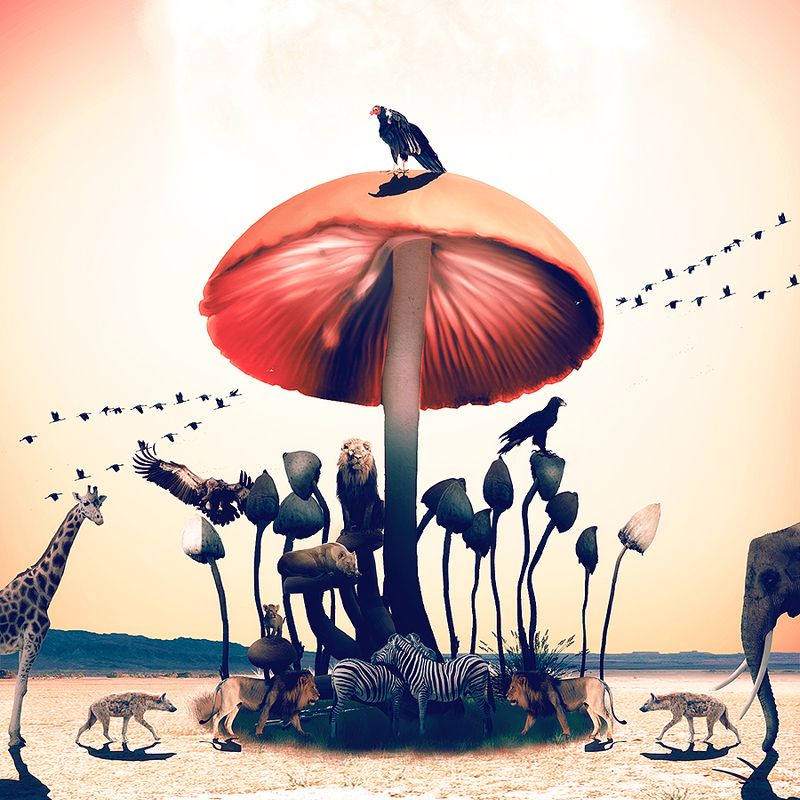 17.12.1991photo preview