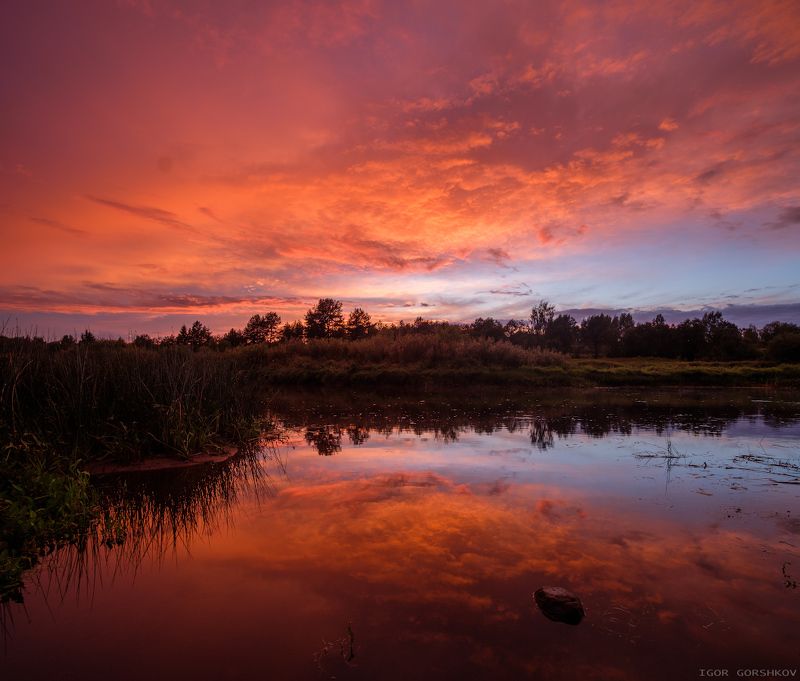молога,река,закат,пейзаж,природа,небо,тучи,отражения,берег,трава, Закат после дождливого дняphoto preview
