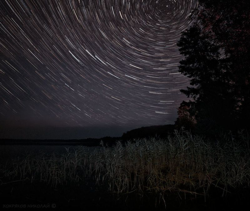 тростники и звёзды...photo preview