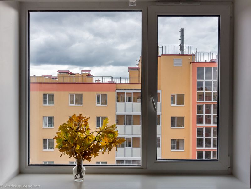 Autumn moodphoto preview