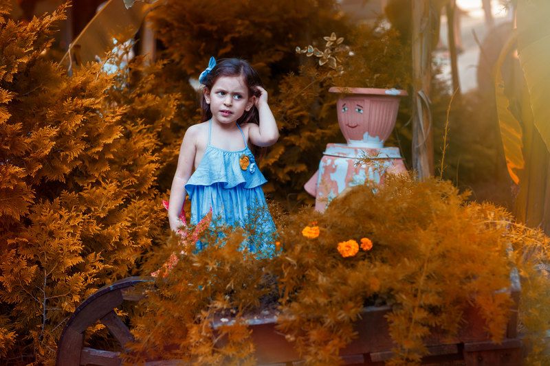 гордиенкоольга Снова осень? photo preview