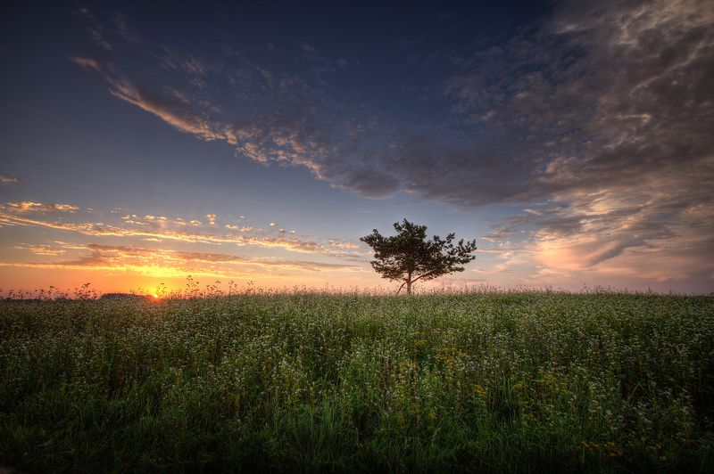 Начало хорошего дня...photo preview
