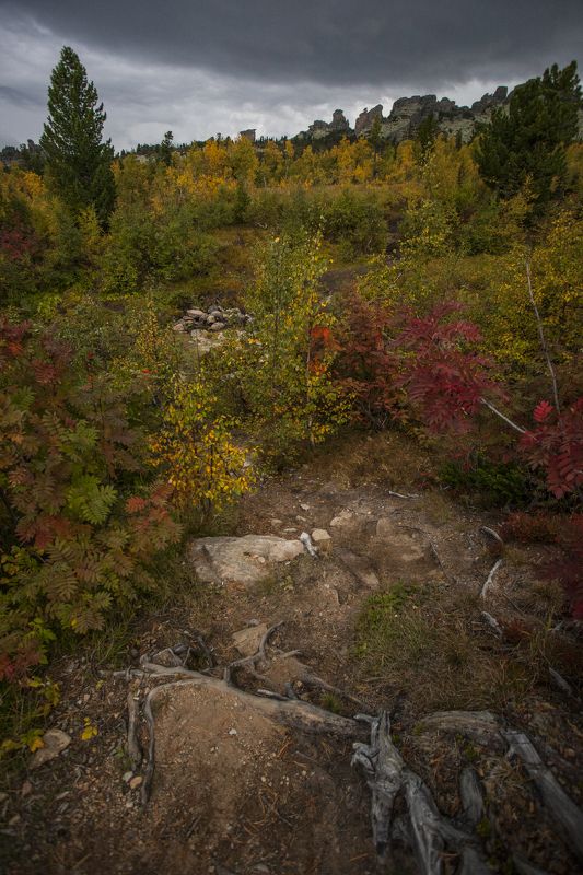 осень, пейзаж, природа Золотаяphoto preview