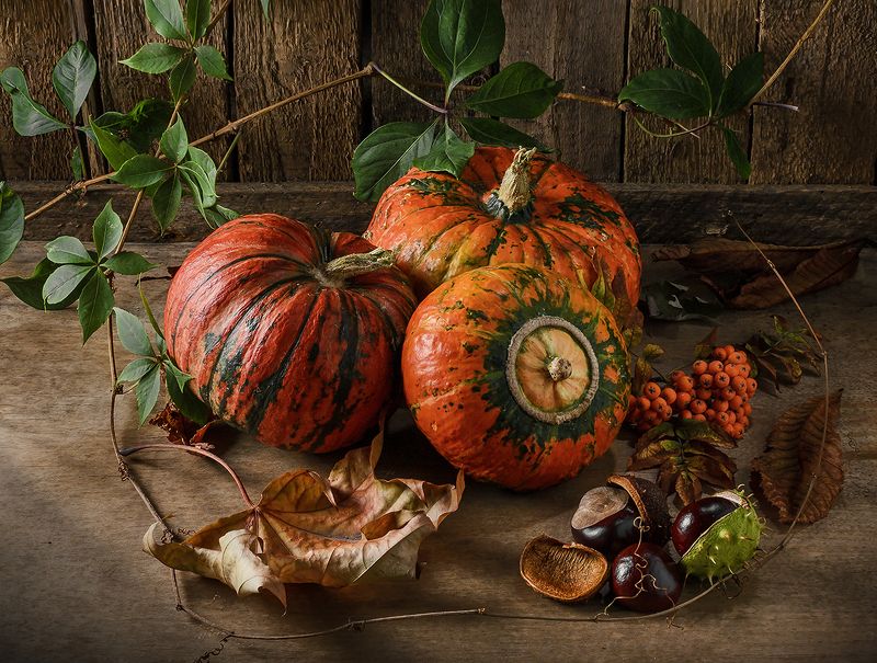 тыква, осень ***photo preview