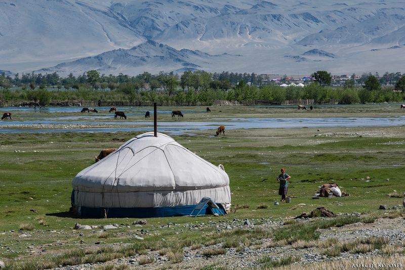 монголия, алтай, горы, юрта, природа, пейзаж, лето,  mongolia, altay, mountains, yurt, nature, landscape, summer Жизнь кочевниковphoto preview