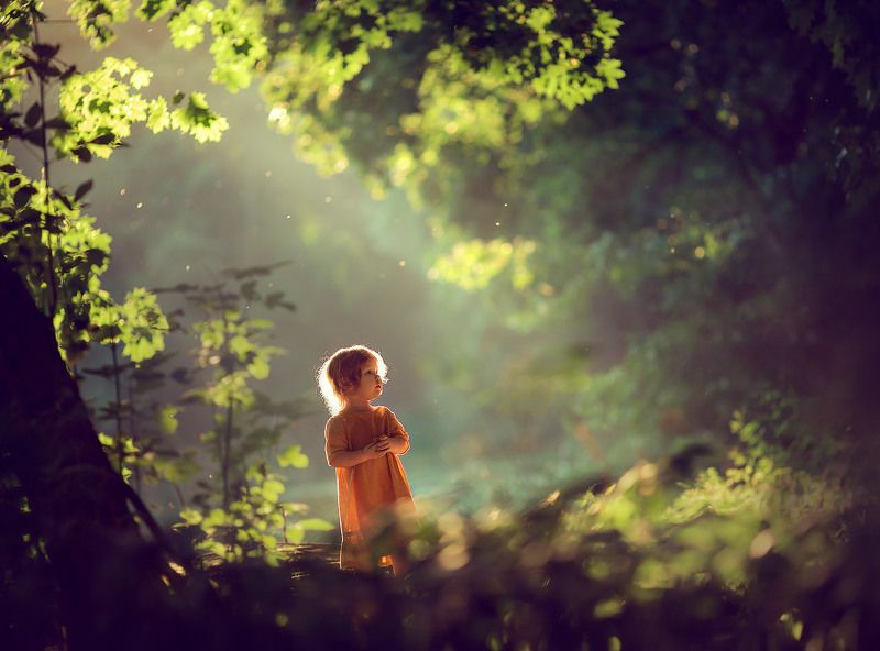 детский фотограф, семейный фотограф, фотограф для девочки, детское фото, девочка В лесуphoto preview