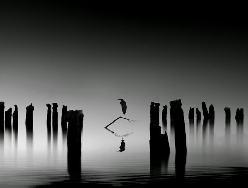 mystery lakephoto preview