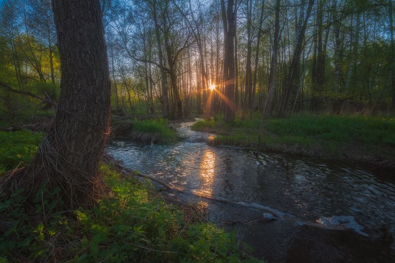 В весеннем потокеphoto preview