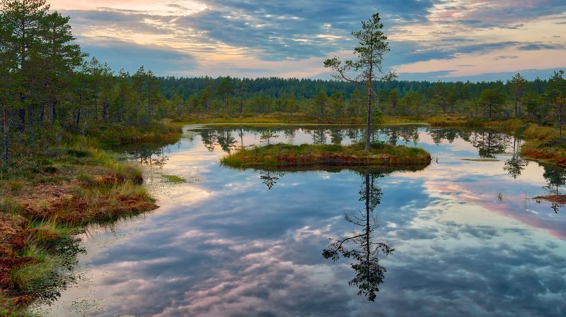 Viru Rabaphoto preview