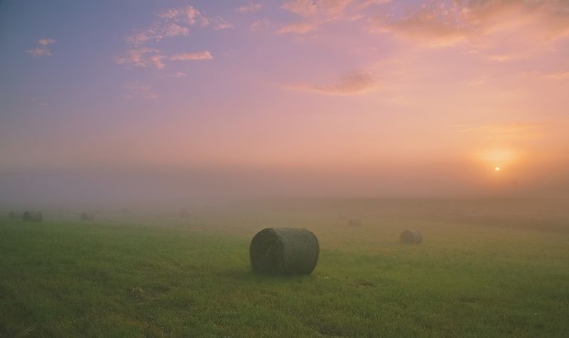 Вспоминая короткое лето.photo preview