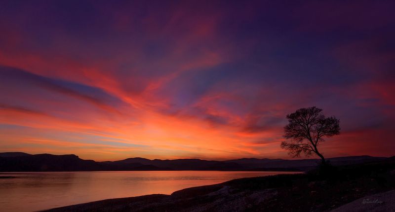 sunset ankara turkey landscape canon tree alone Sunsetphoto preview