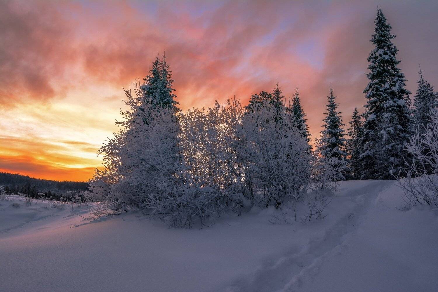 , Андрей Шарапов
