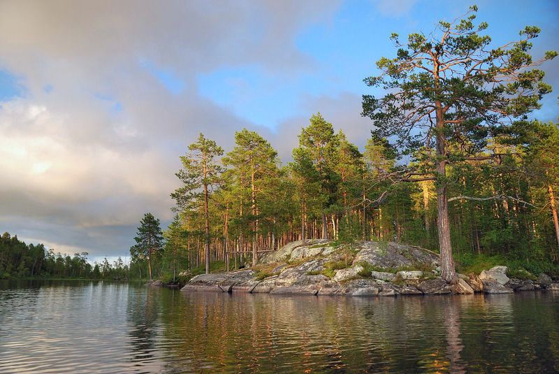 карелия, озеро, сосны, камни На озере Кереть фото превью