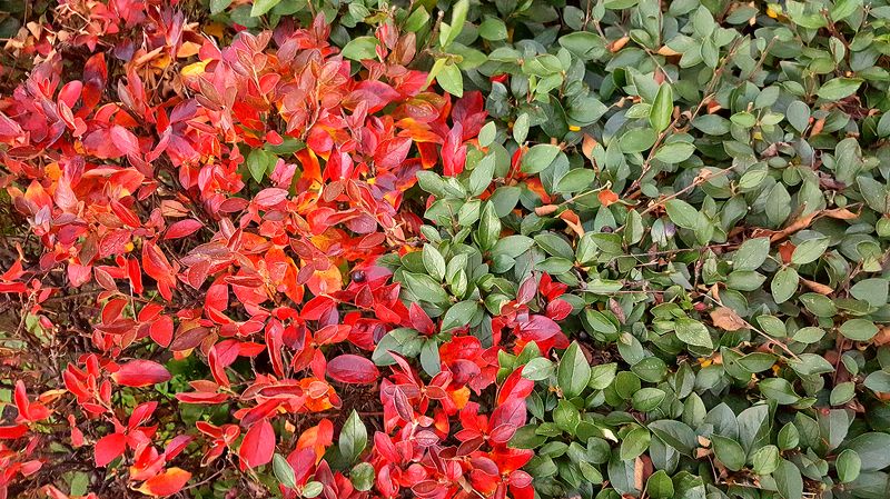 Стратегическая наступательная операция \