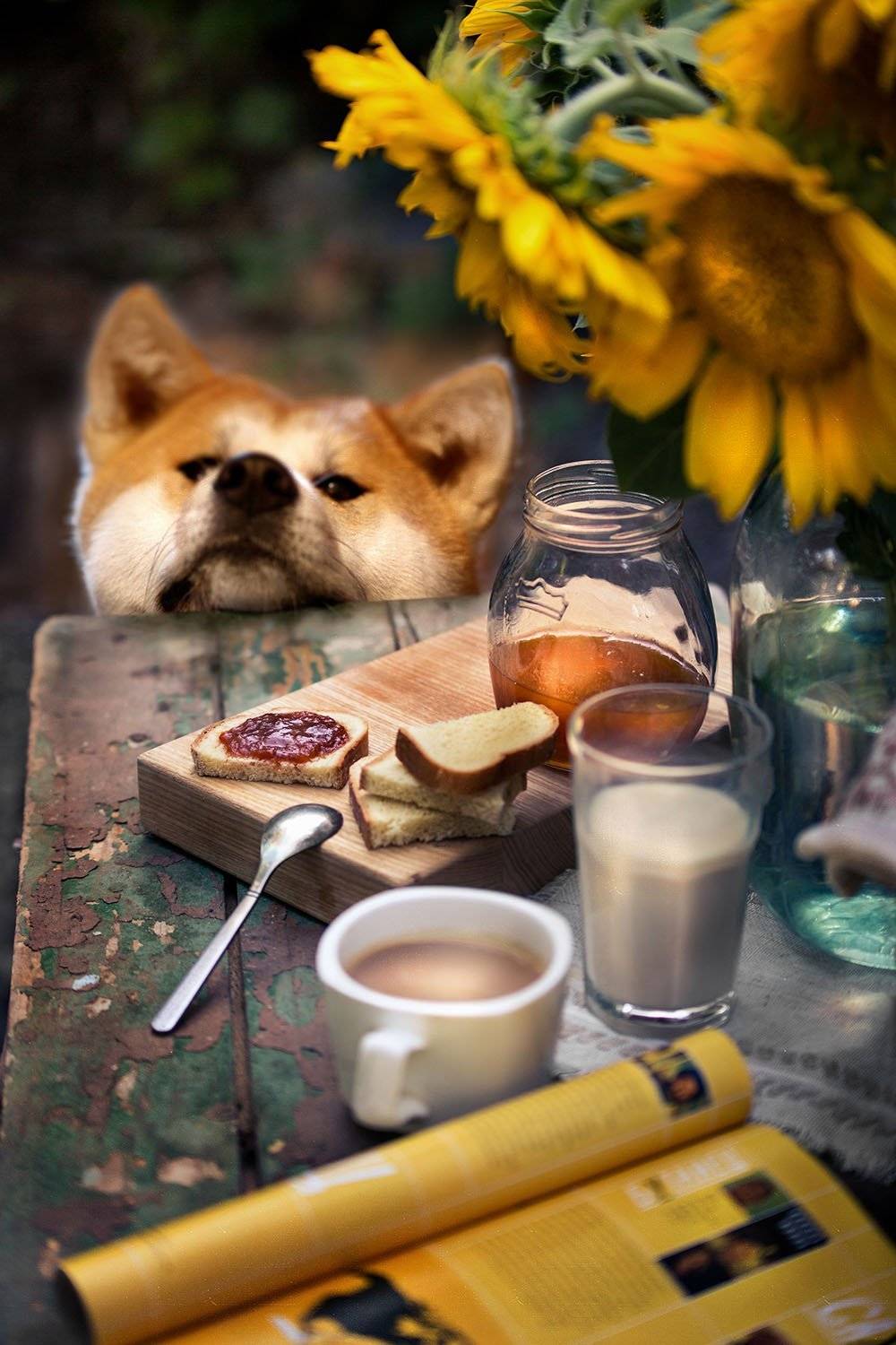 , Светлана Павловская