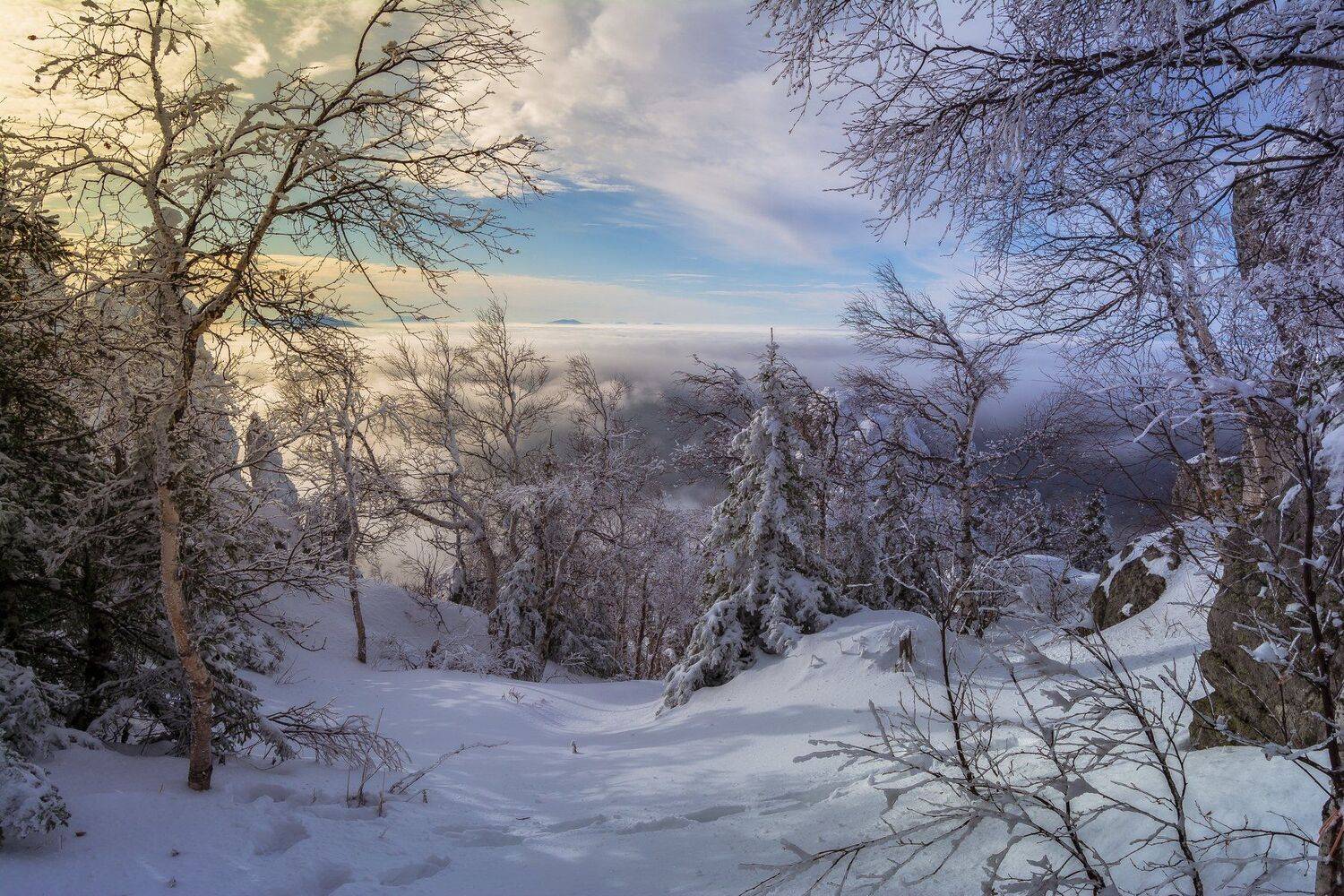 , Андрей Шарапов