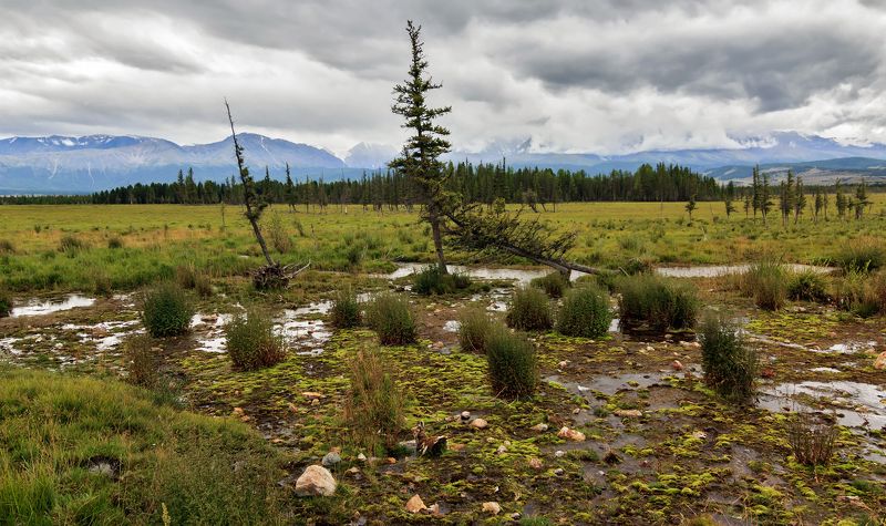 Под серым покрывалом облаков...photo preview