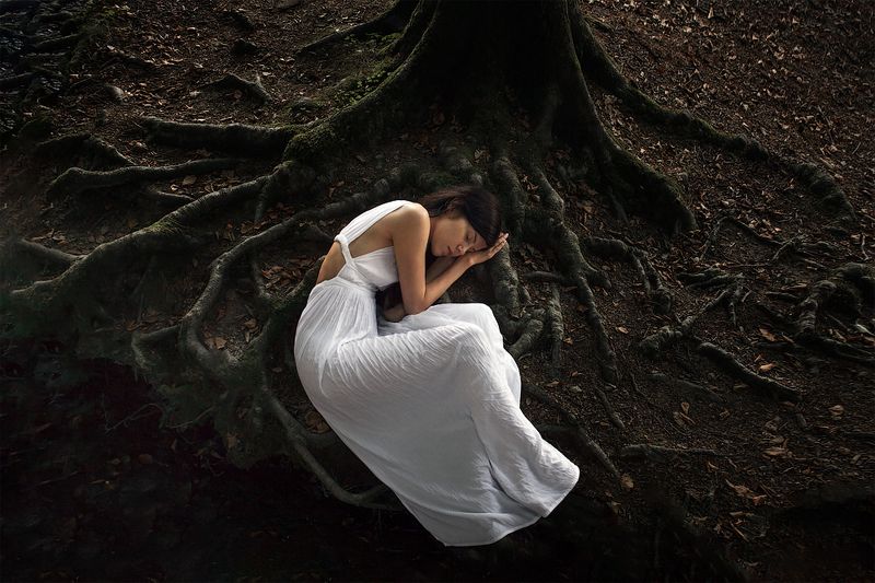 spain, forest, portrait Natures childphoto preview