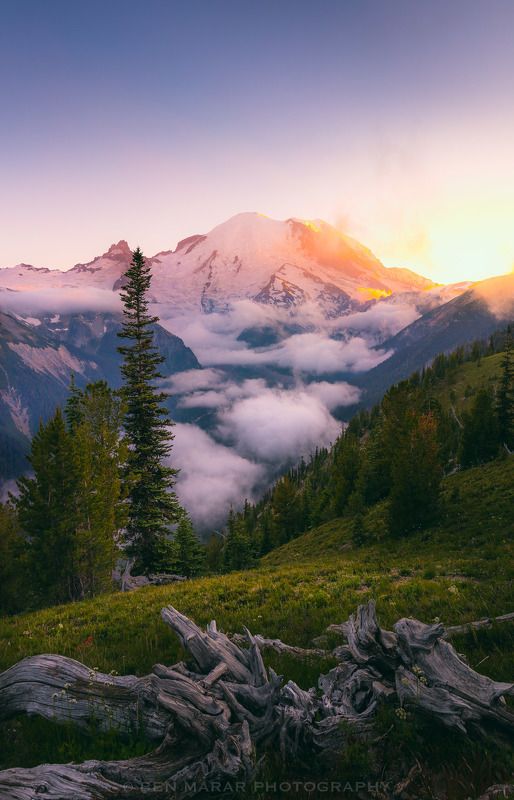 Going to sleep...photo preview