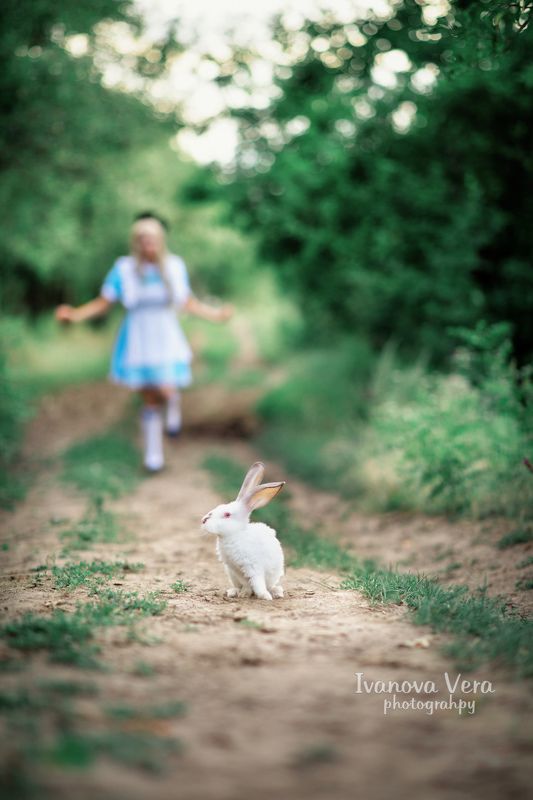 детская фотография, семейная фотография, фотограф, Алматы, Казахстан, фотограф Алматы, семья, сказка, красиво, девушка, чудеса, Алматы фотограф, awesome, amazing, nature, landscape Алиса в стране чудес 3 частьphoto preview