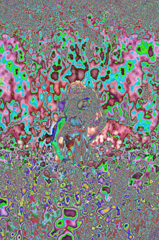 girl, portrait, девочка, портрет, цветы, поляна Arinaphoto preview