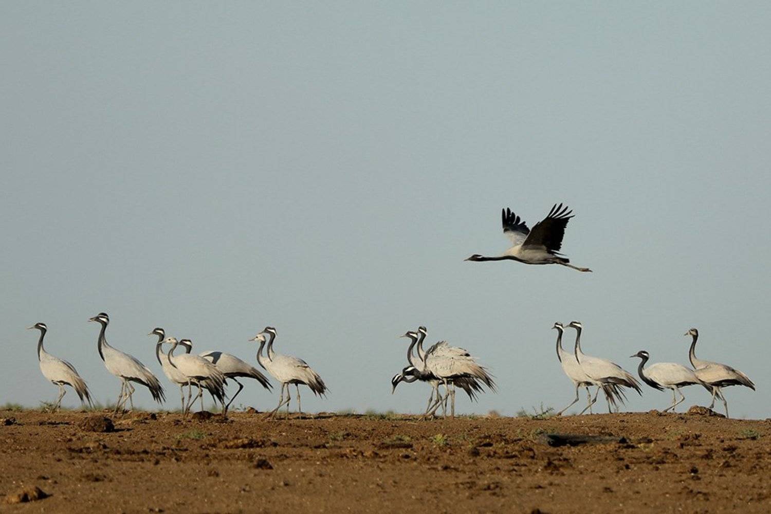 , Иваненко Светлана