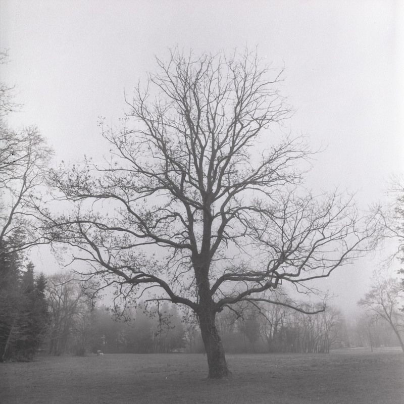 film, пленка, 6x6, средний, формат, middle, format Parkphoto preview